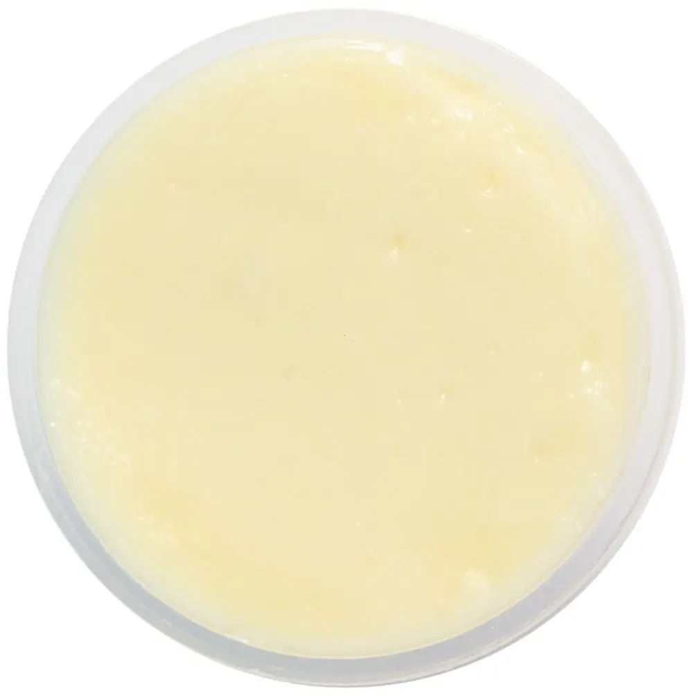 Mayo at iniBurger