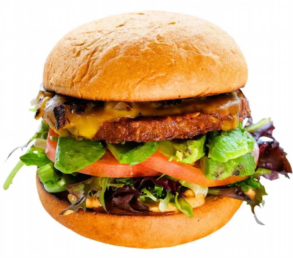 B'igi Garden Burger at iniBurger
