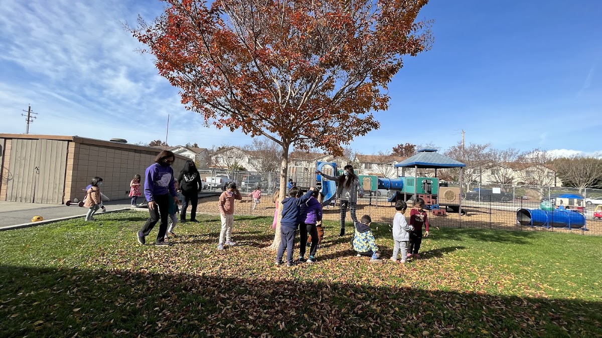The Learning Tree Preschool