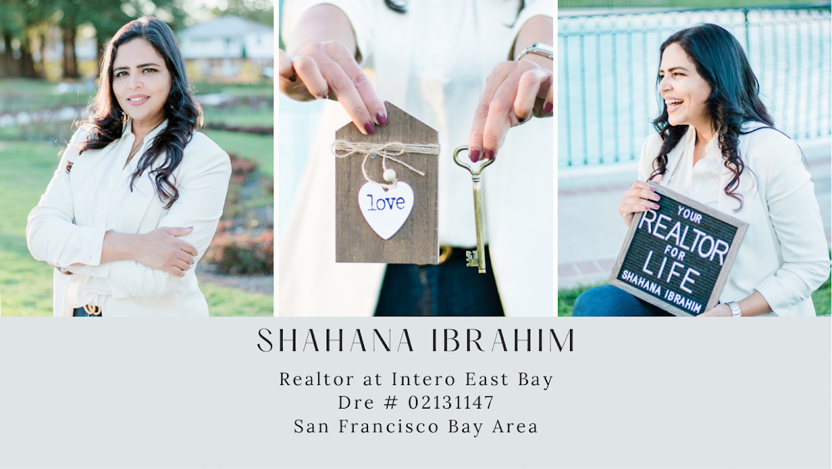 Shahana Ibrahim, Realtor