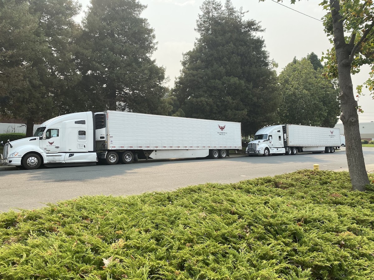 LEGAL FREIGHTLINES LLC