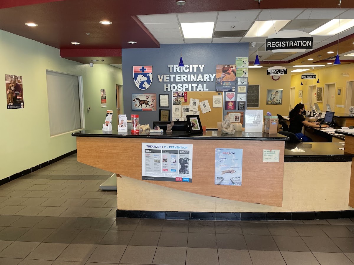 Tricity Veterinary Hospital