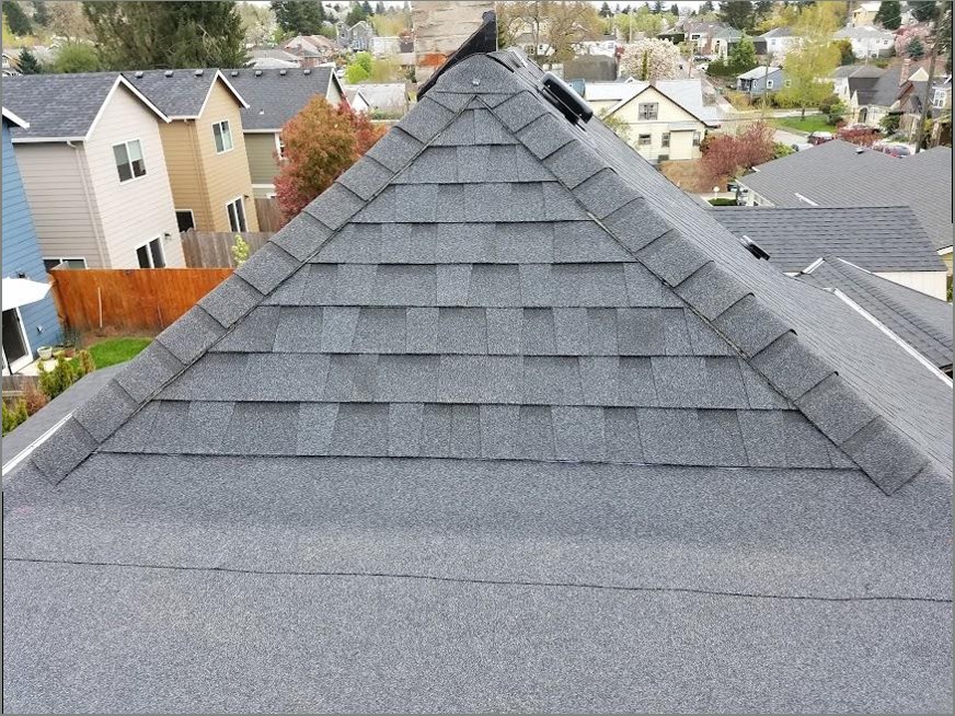 Lake Michigan Roofing Pro