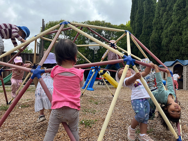 Strawberry Lane Daycare