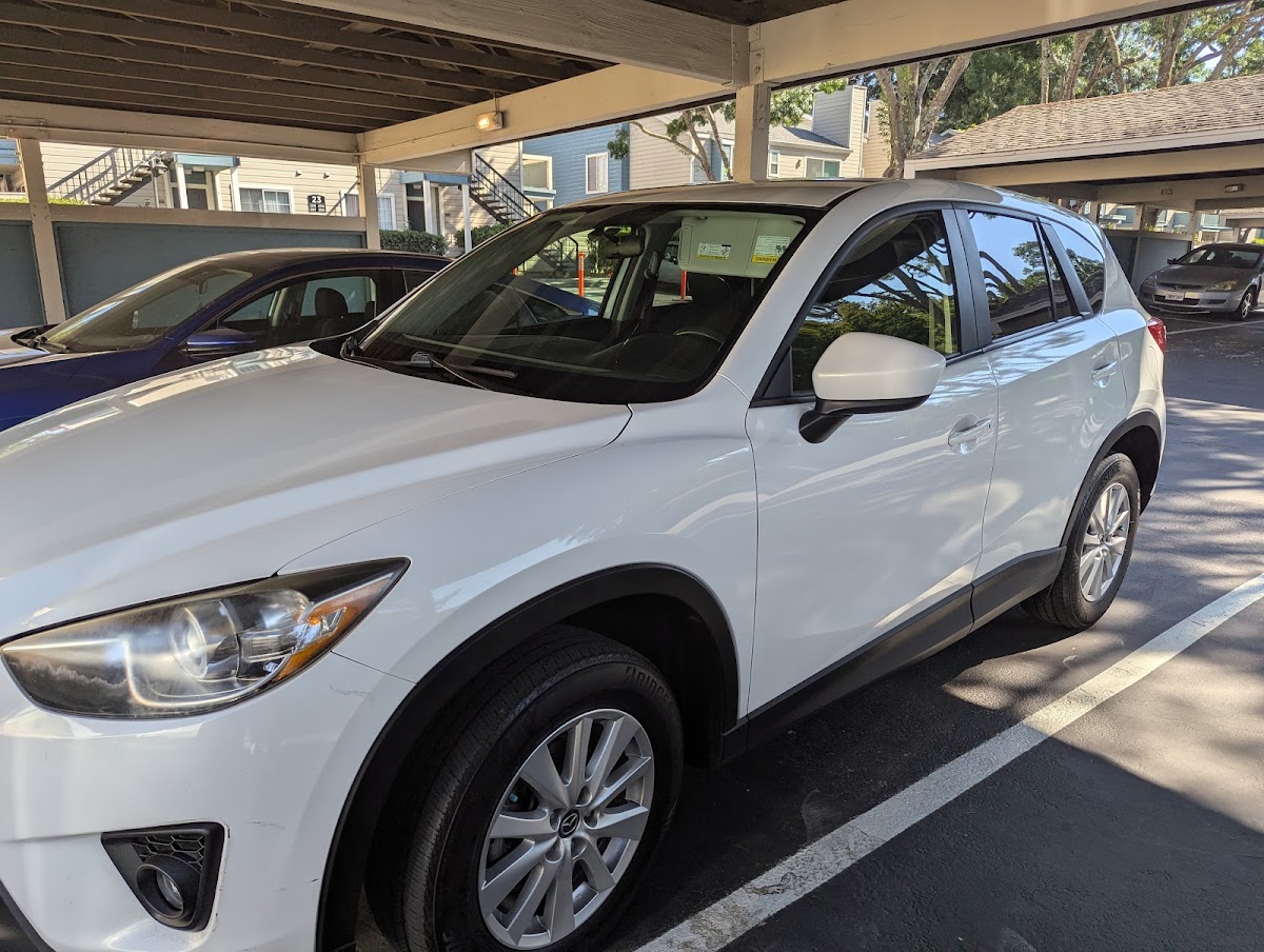 Blue Eagle Motors