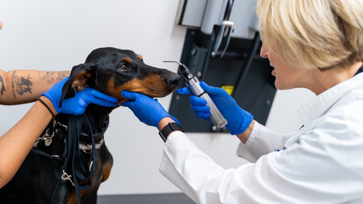 Animal Eye Care