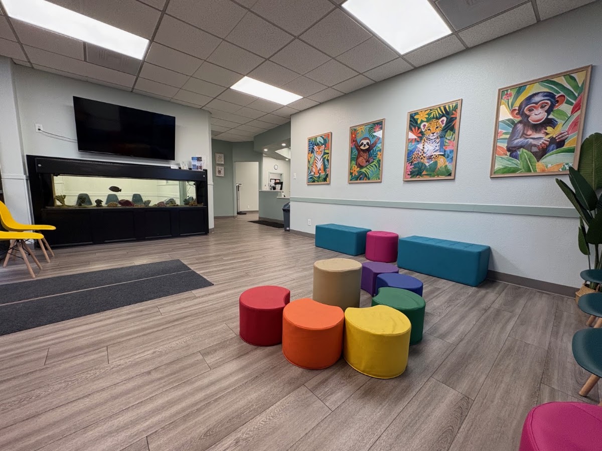 South East Bay Pediatric Medical Group Inc