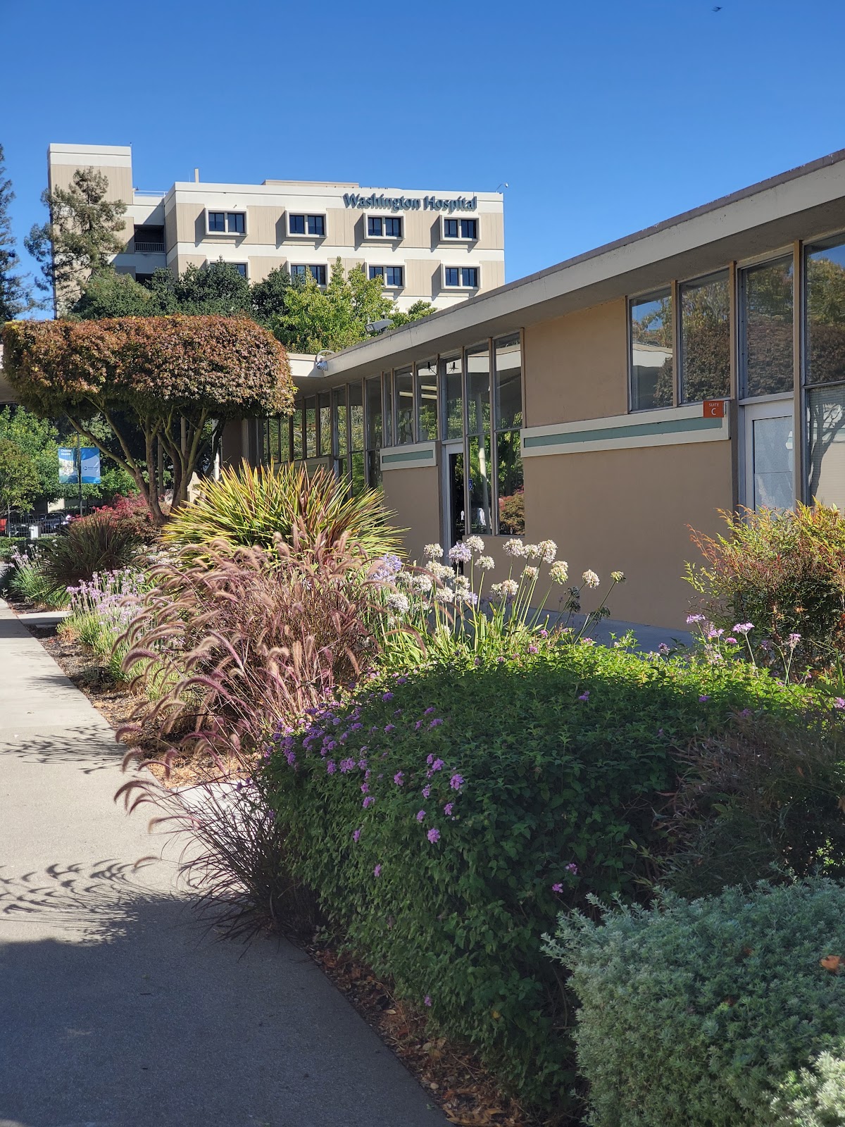 Washington Hospital