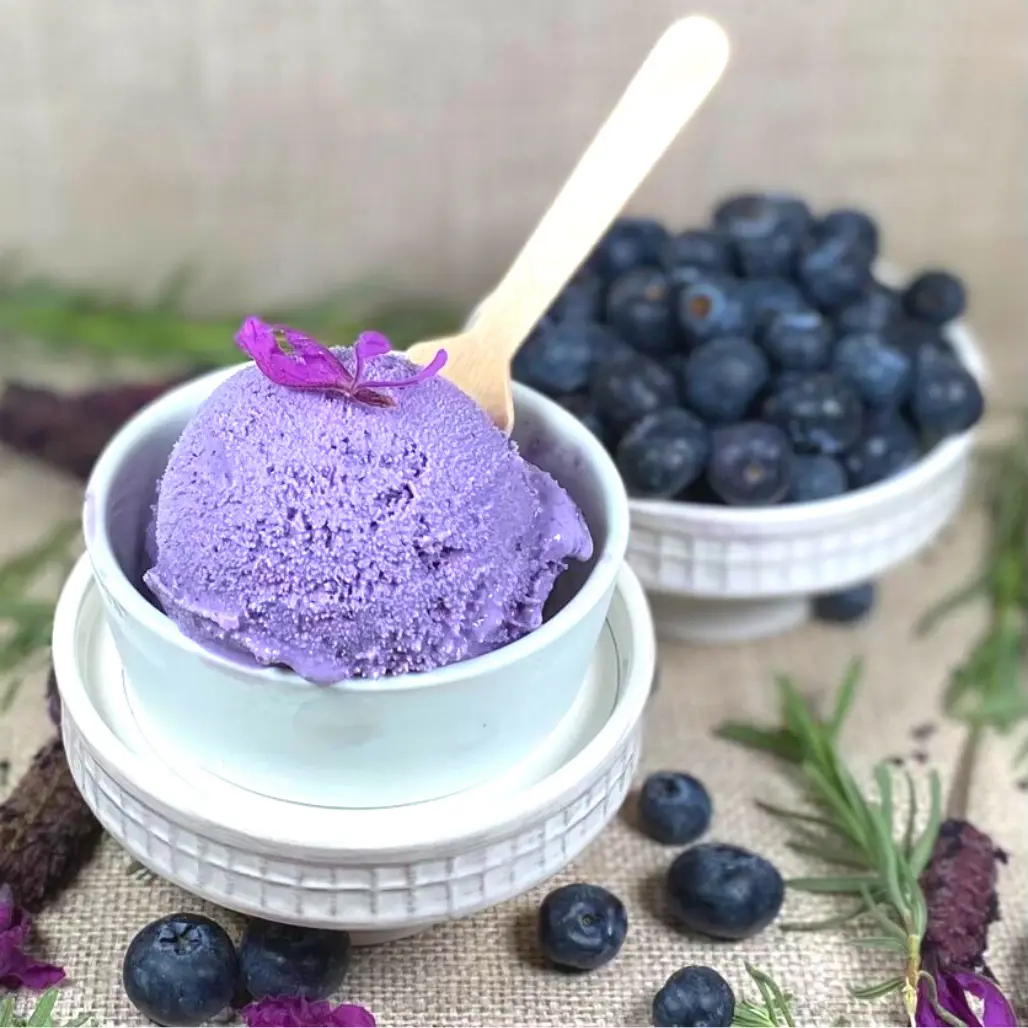 Vegan Blueberry Lavender at Pints of Joy Ice Cream