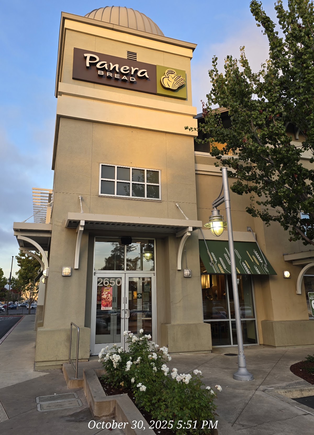 Panera Bread