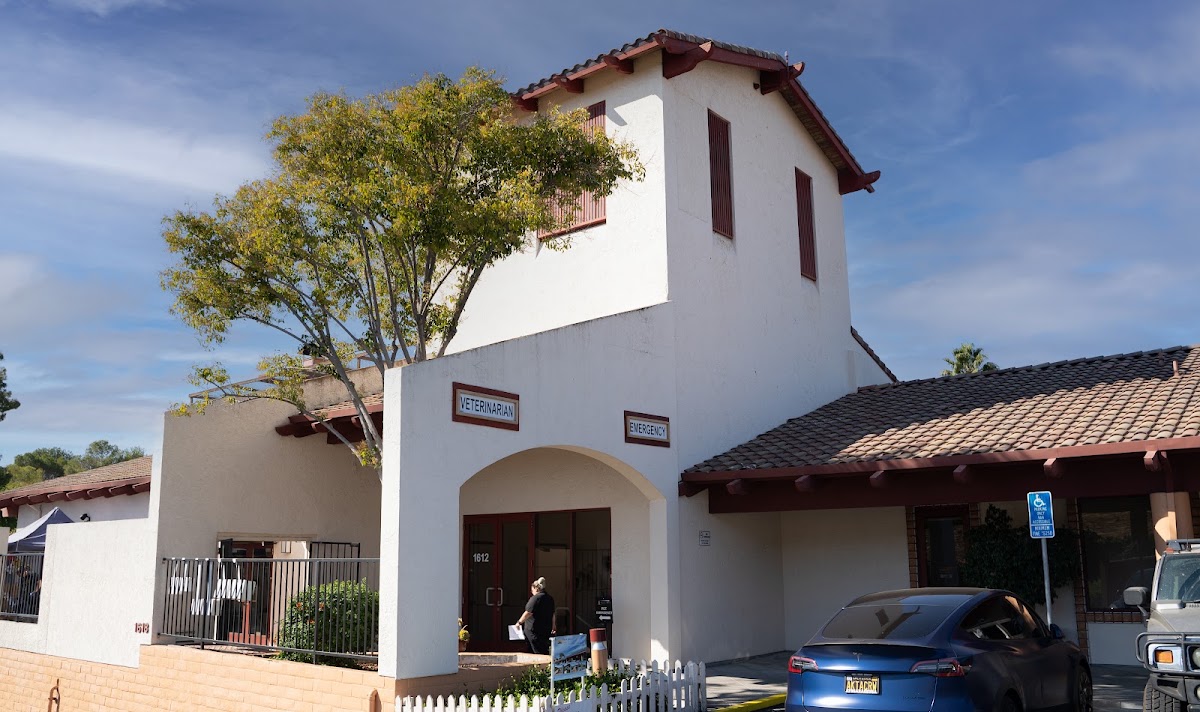 Beacon Veterinary Specialists