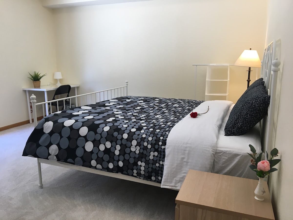 Amsterdam Painting & Decorating