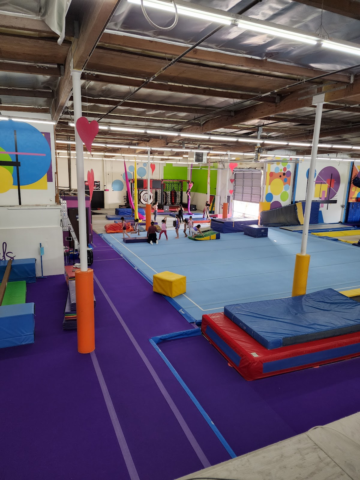 Bay Aerials Gymnastics