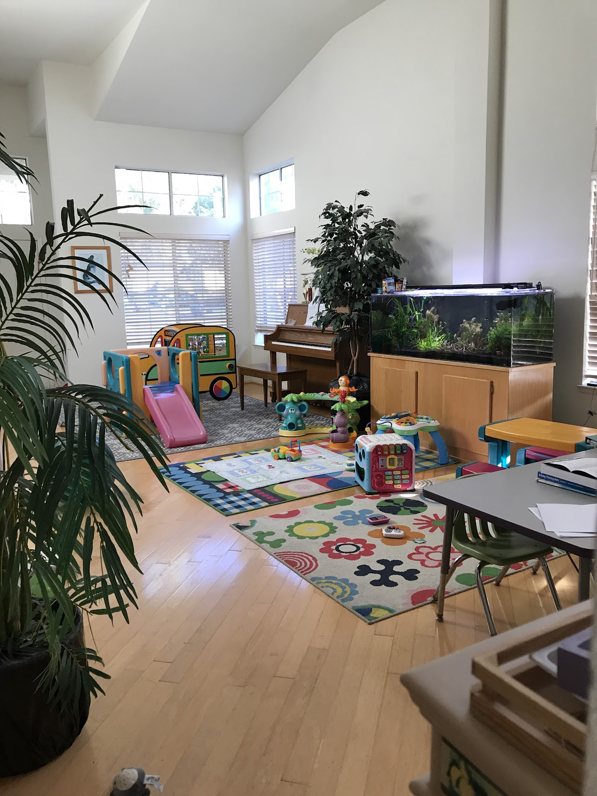 Little Genius Family Day Care