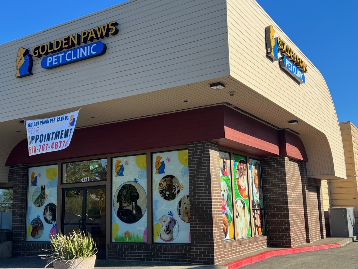 Golden Paws Pet Clinic
