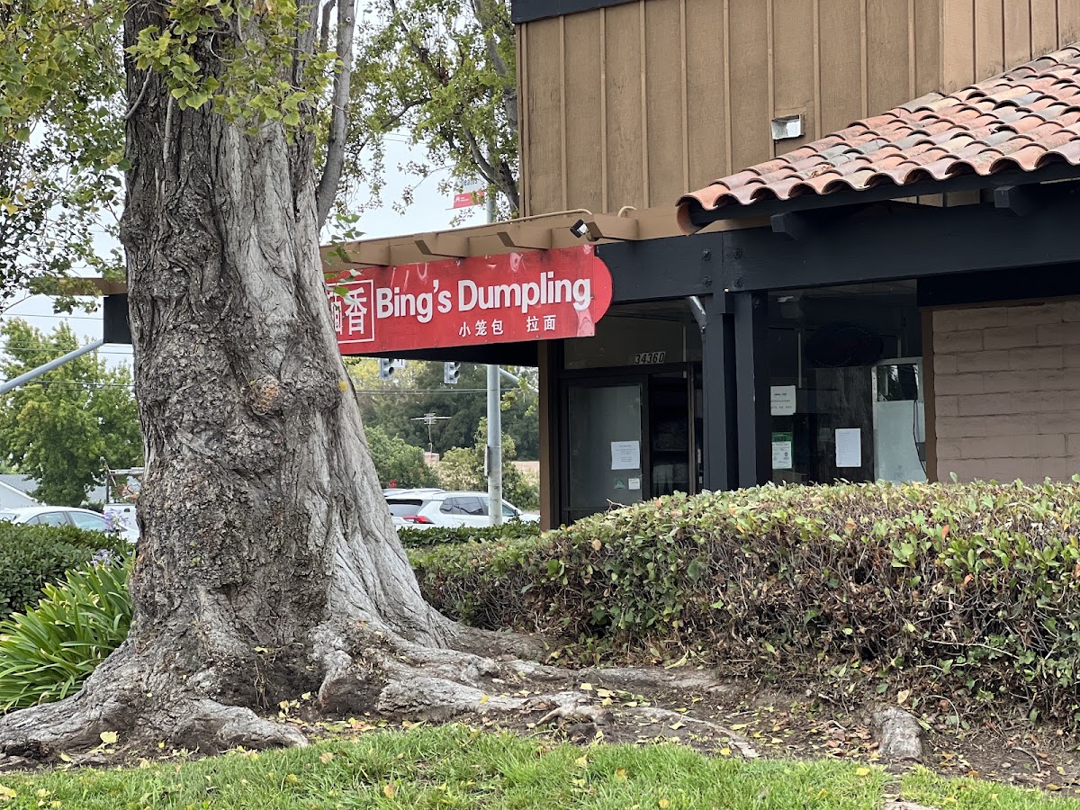 Bing's Dumplings