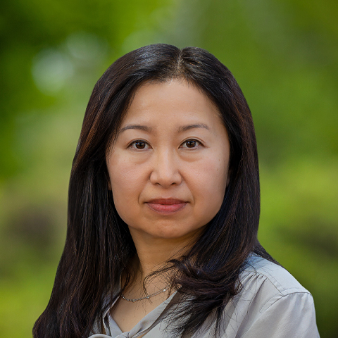 Hongmei Meng, M.D.