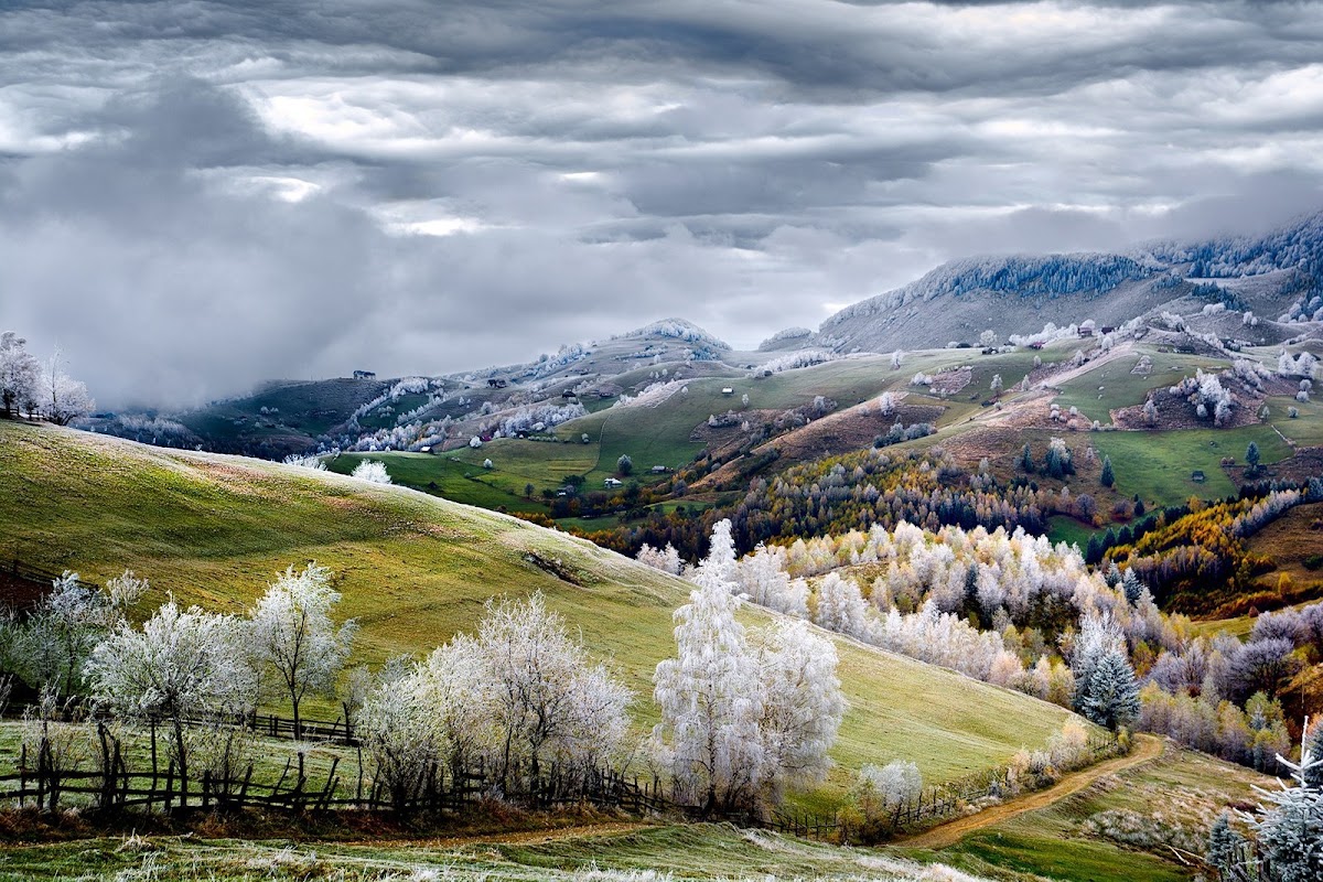 Randeep Nanak Real Estate