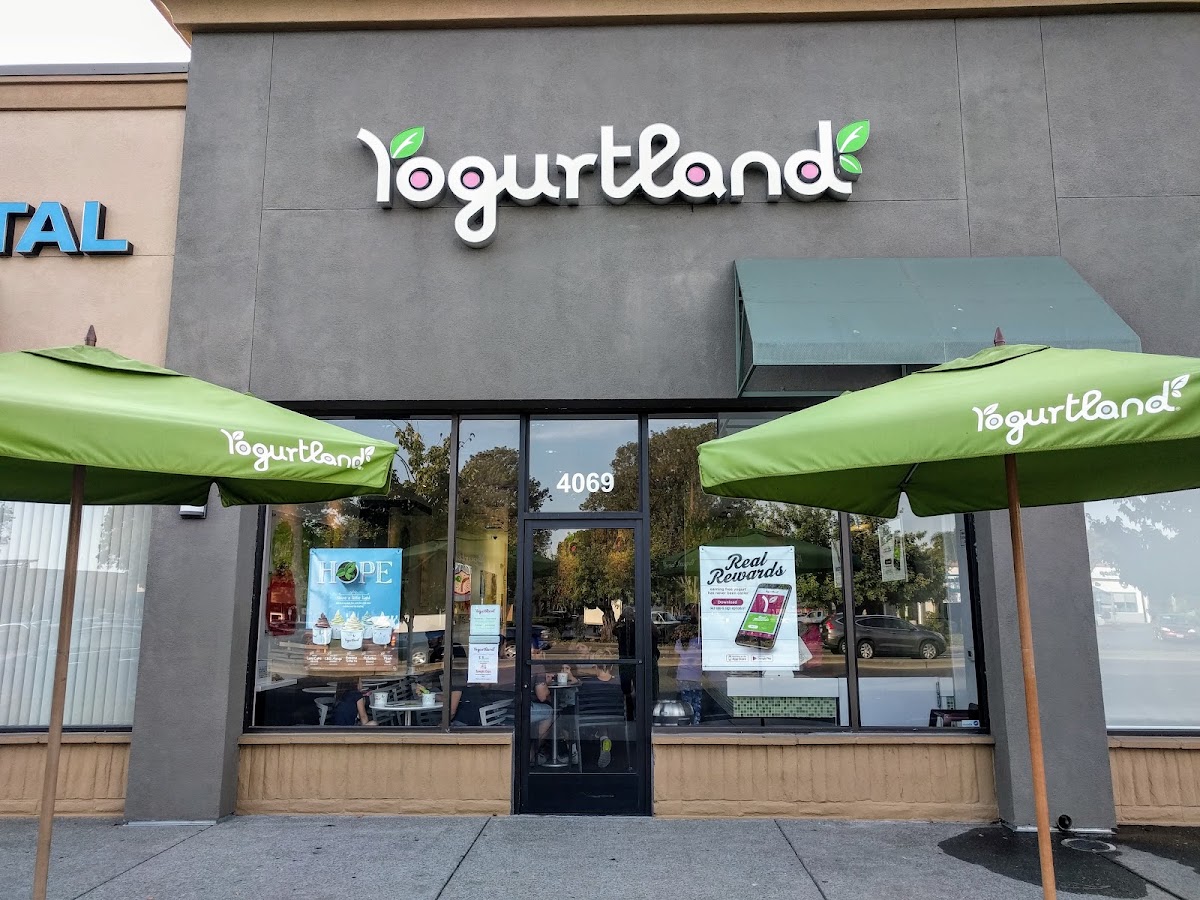 Yogurtland Fremont
