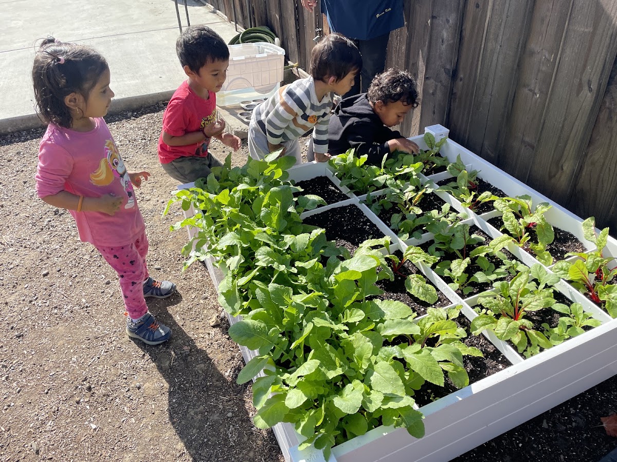 Genius Kids Fremont Mission
