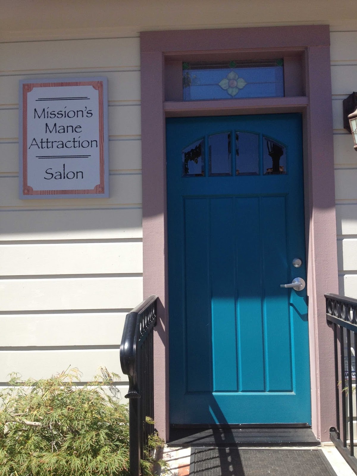Missions Mane Attraction Hair
