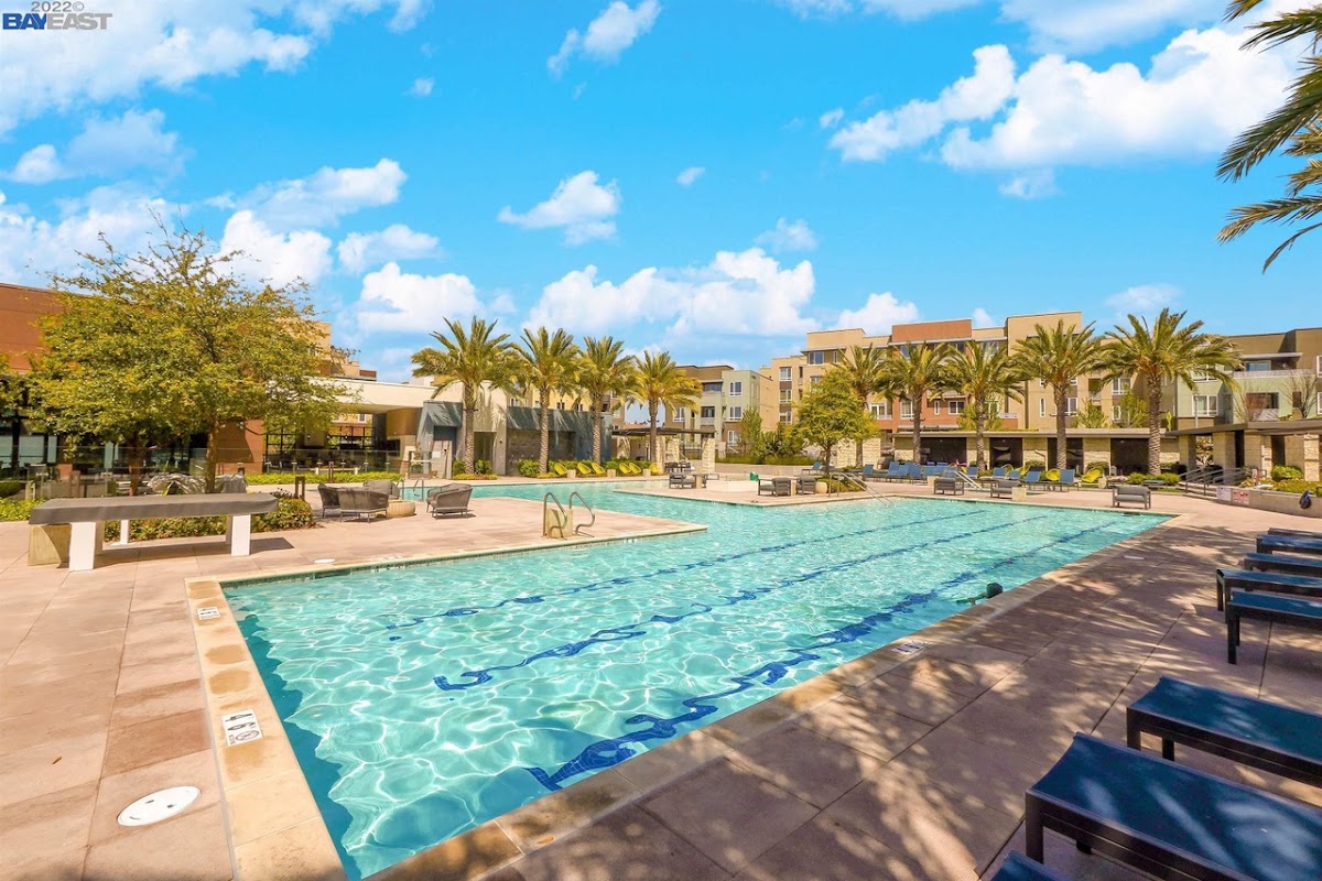 Nida Adil, Realtor