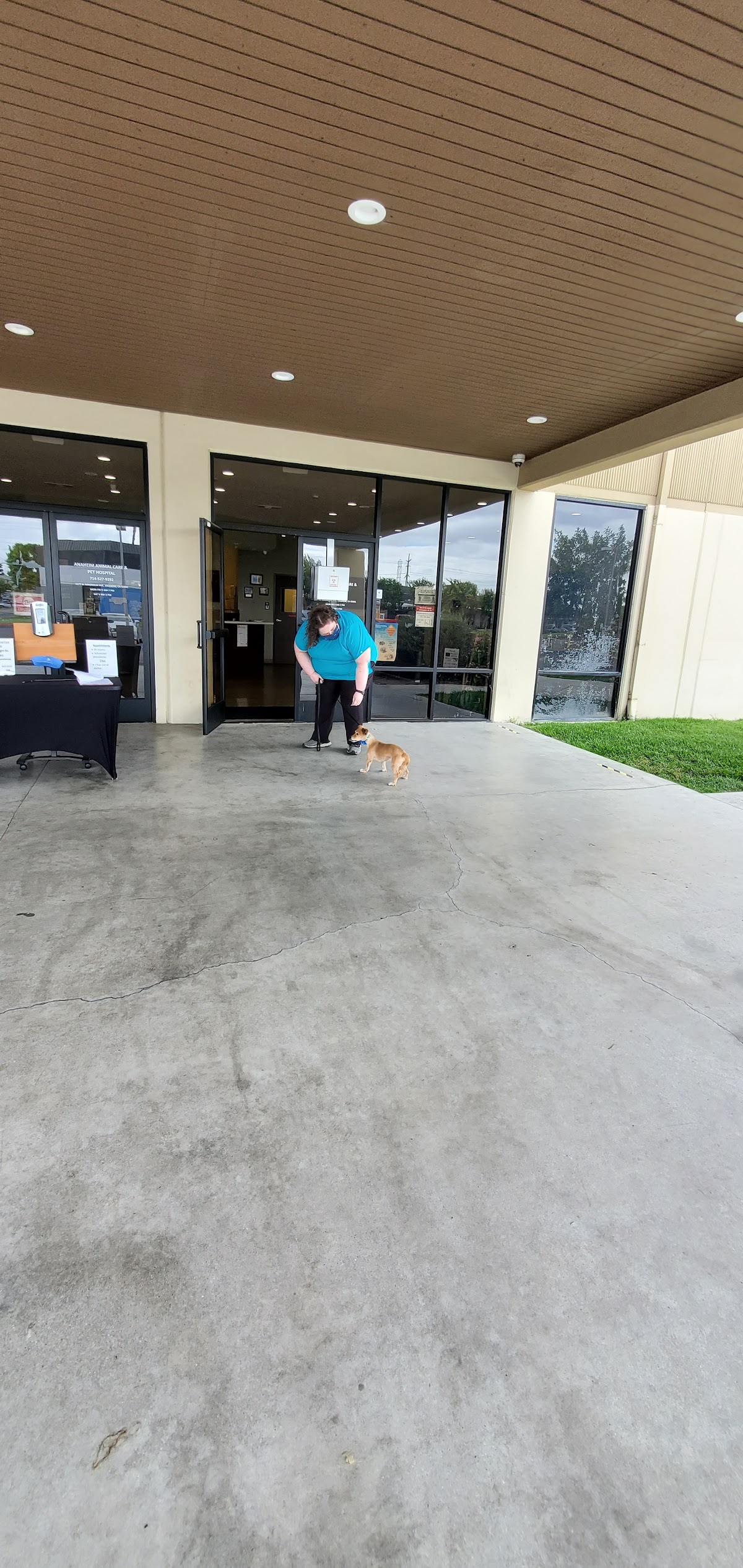 Anaheim Animal Care & Pet Hospital — Pets in Anaheim, CA (photo 2 of 2)
