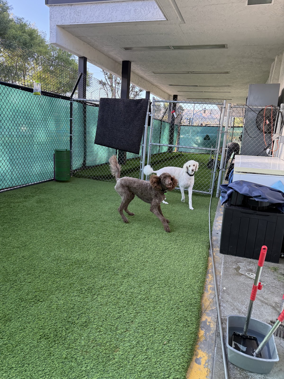 Anaheim Hills Pet Clinic — Veterinarian in Anaheim, CA (photo 3 of 3)