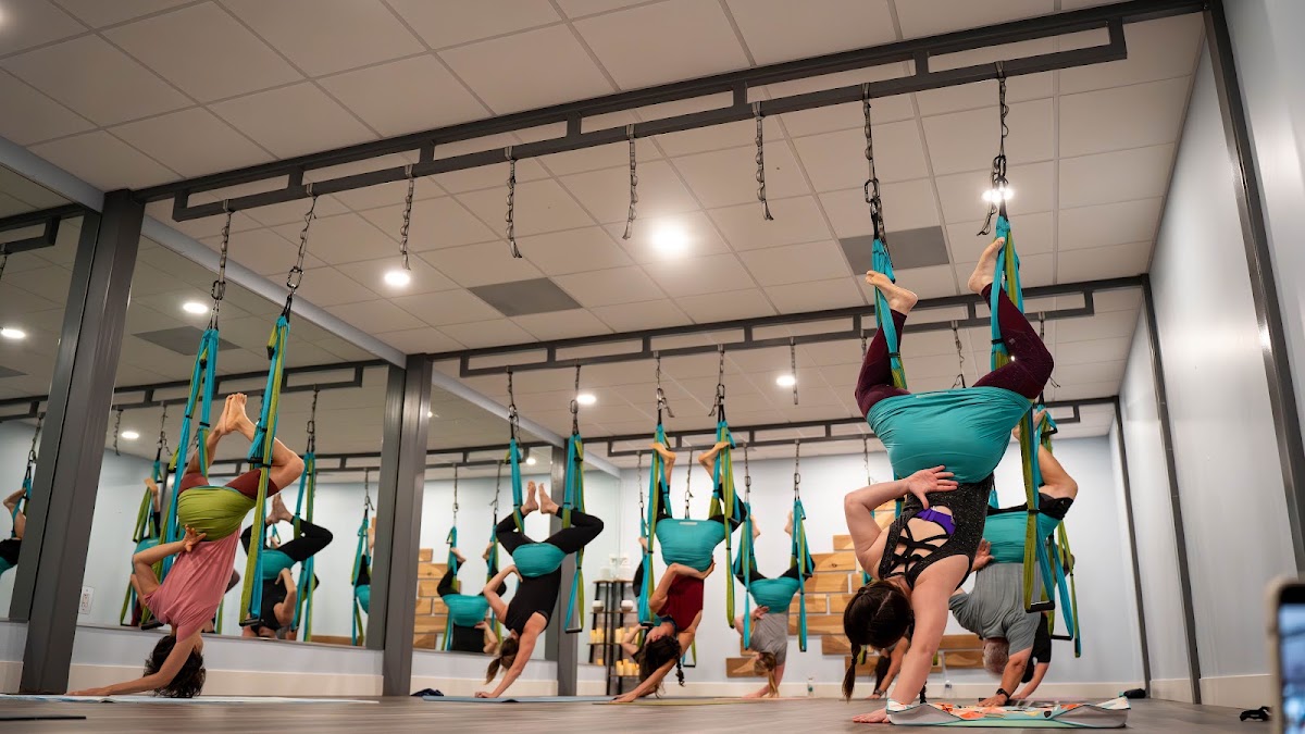 7-day introductory yoga package at Good Moodra Trapeze Yoga