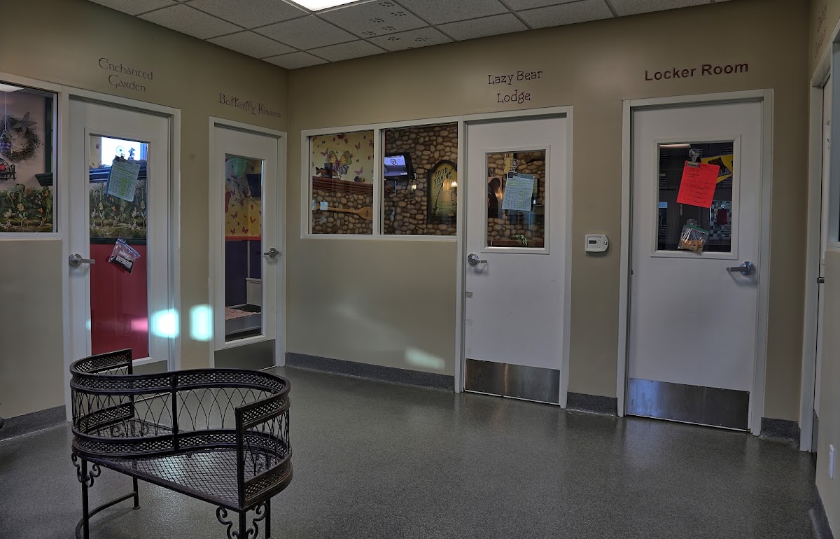 VCA Yorba Regional Animal Hospital — Veterinarian in Anaheim, CA (photo 3 of 3)