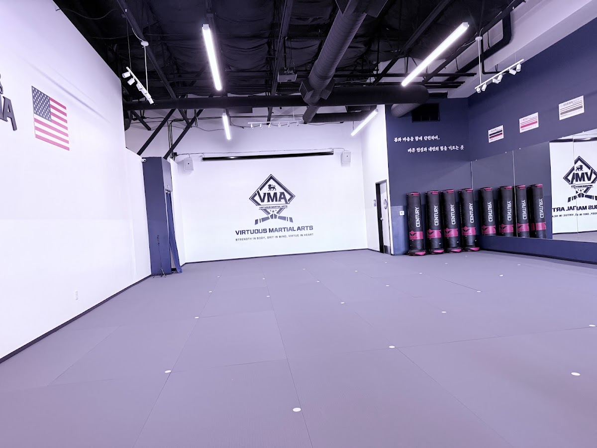 Virtuous Martial Arts — in Anaheim, CA (photo 2 of 2)