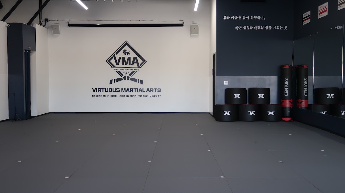 One free trial class at Virtuous Martial Arts