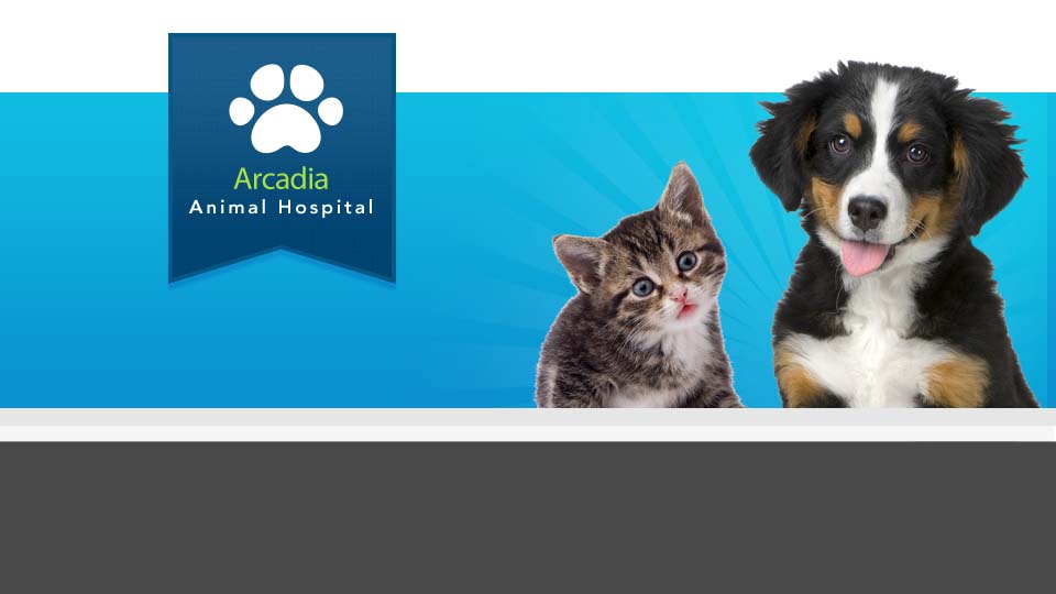 Arcadia Animal Hospital — Veterinarian in Arcadia, CA