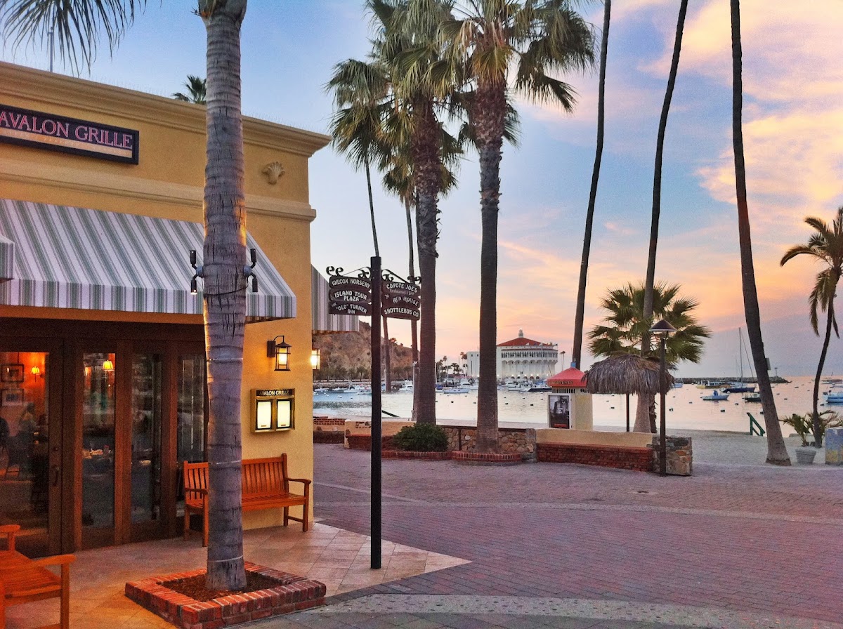 $7 Draft Beer at Avalon Grille