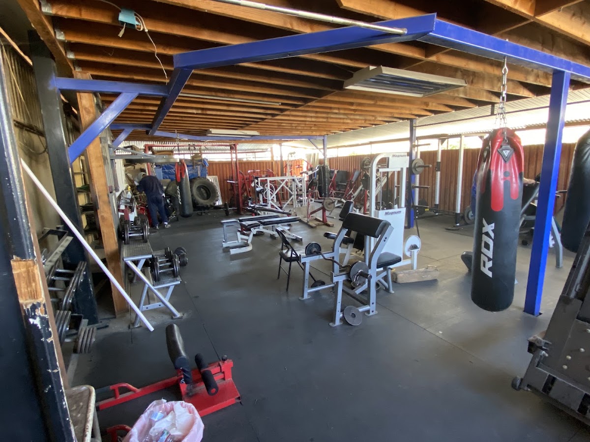 Free one-week gym trial at Strength & Health Gym