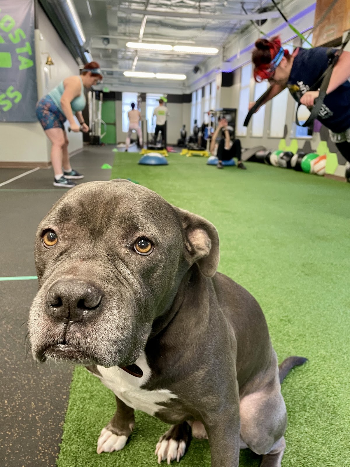 Contra Costa Fitness — Gym in Concord, CA