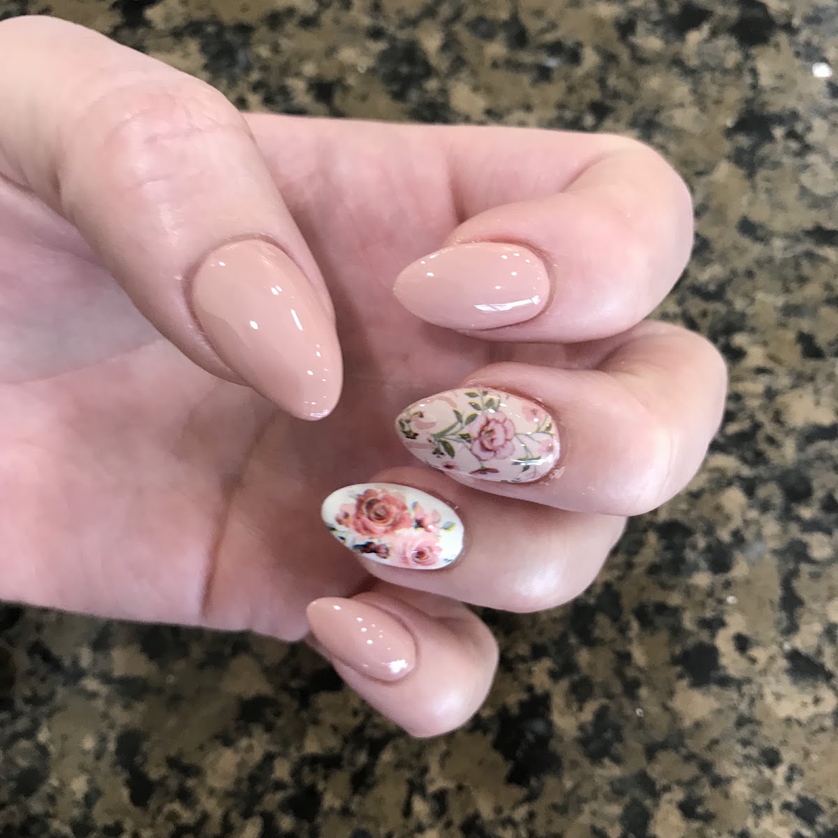 Star Salon and Spa Cotati — in Cotati, CA (photo 3 of 3)