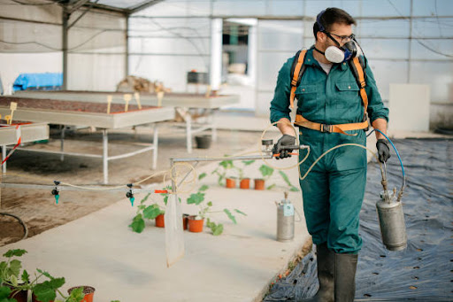 Algo Venture Pest Control — Pest Control Service in Danville, CA
