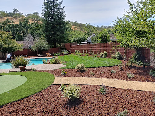 Barnettlawncare/Danville Lawncare — Landscaping Service in Danville, CA
