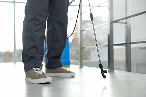 Best Danville Pest Control — Pest Control Service in Danville, CA
