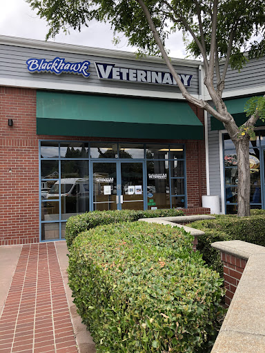 Blackhawk Veterinary Hospital — Veterinarian in Danville, CA