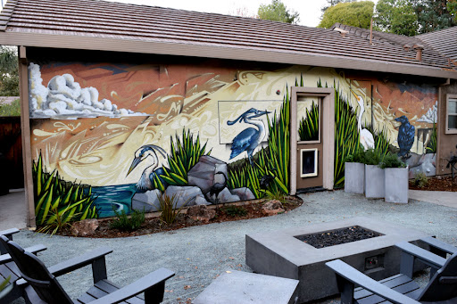 California Mural Art — Painter in Danville, CA