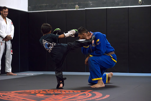 Crispim BJJ Danville/San Ramon — Martial Arts School in Danville, CA