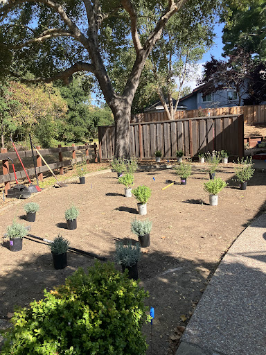 Green Guru Gardening, Landscaping & Esthetics — Gardener in Danville, CA