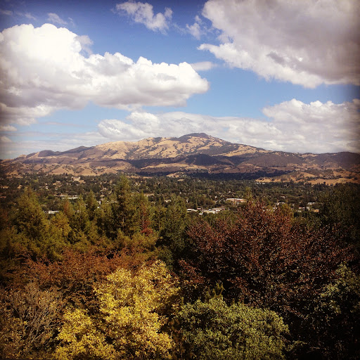Kaveh Sartipi • Nest Mortgage, Inc. — Mortgage Broker in Danville, CA