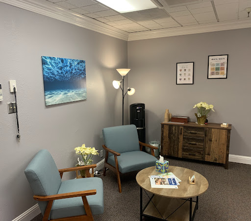 Kinetic Mental Health — Therapist or Counselor in Danville, CA