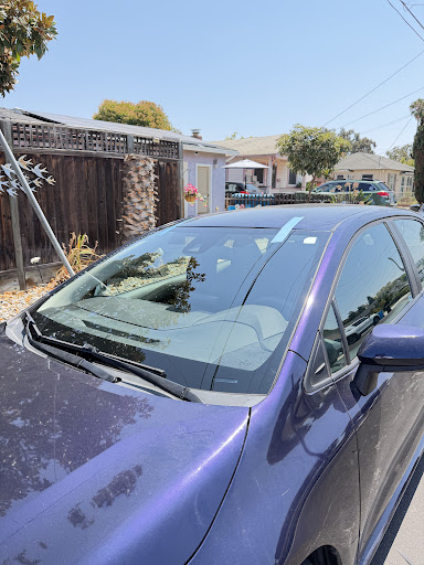 Lux Auto Glass of Danville — Auto Glass Shop in Danville, CA