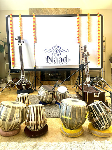 Naad Performing Arts — Music School in Danville, CA
