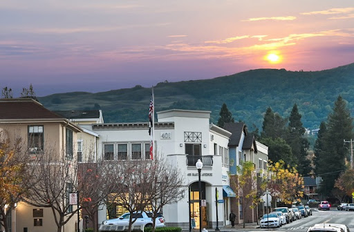 Sandra Fortayon, REALTOR | Keller Williams Luxury International — Real Estate Agency in Danville, CA