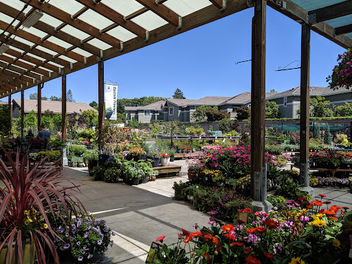 Sloat Garden Center — Home Improvement Store in Danville, CA